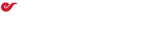 Your Company